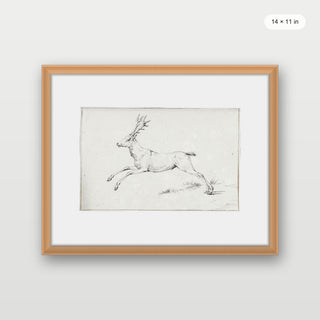 Reindeer Sketch