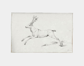 Reindeer Sketch