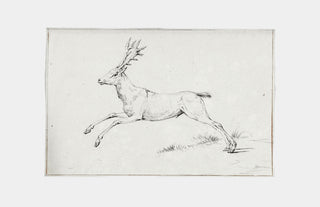 Reindeer Sketch