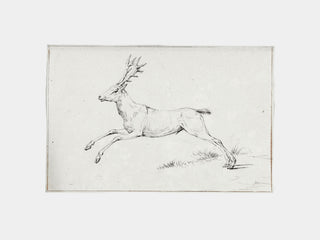 Reindeer Sketch