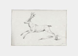 Reindeer Sketch