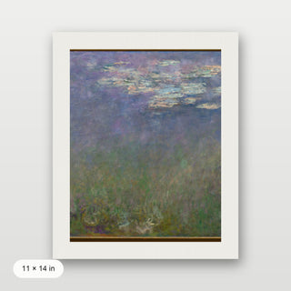 Monet - Agapanthus