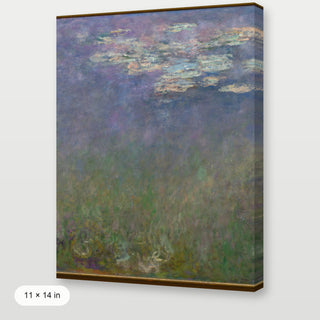 Monet - Agapanthus