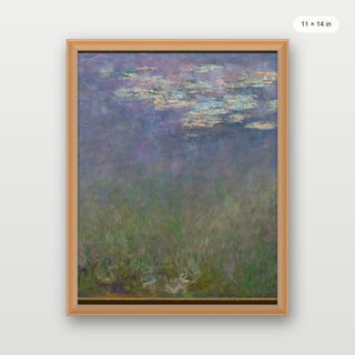 Monet - Agapanthus