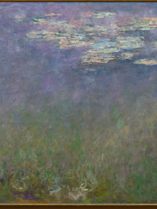 Monet - Agapanthus