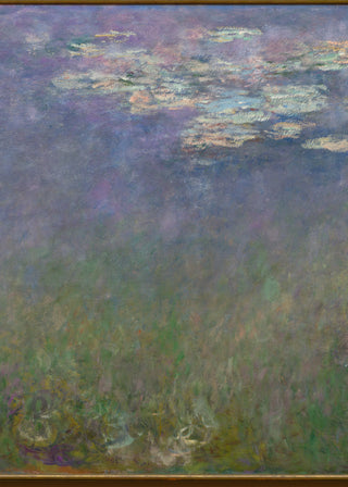 Monet - Agapanthus