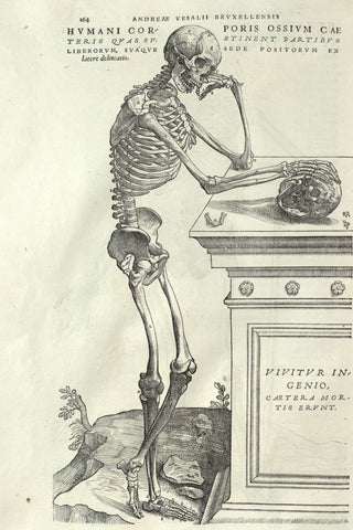 Vesalius - Human Anatomy