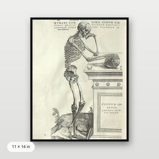 Vesalius - Human Anatomy