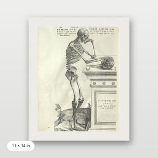 Vesalius - Human Anatomy