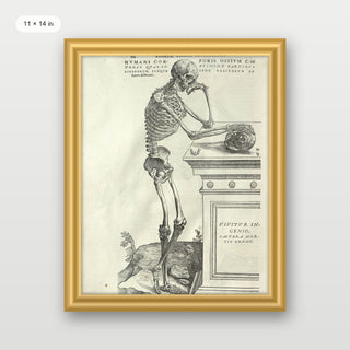 Vesalius - Human Anatomy