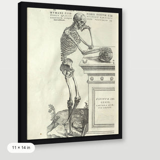 Vesalius - Human Anatomy