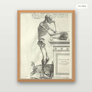 Vesalius - Human Anatomy