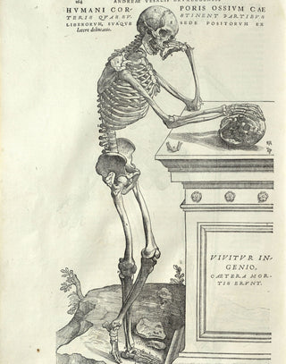 Vesalius - Human Anatomy