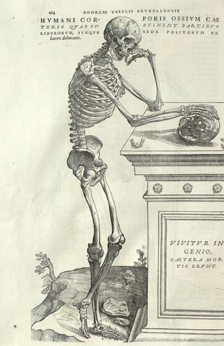 Vesalius - Human Anatomy
