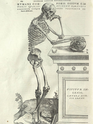Vesalius - Human Anatomy