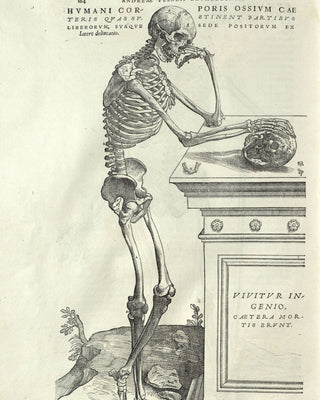 Vesalius - Human Anatomy