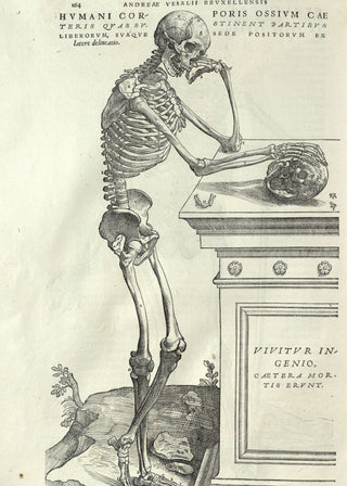 Vesalius - Human Anatomy