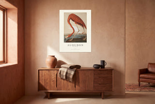 Audubon - Flamingo