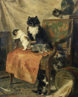 Kittens Playing
