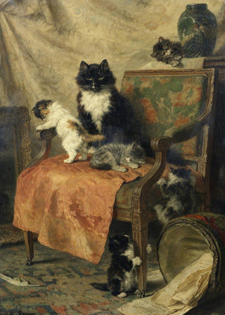 Kittens Playing