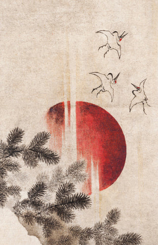 Japanese Sun Meditation