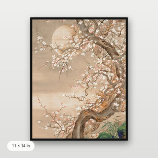 Japanese Blossom Sun Meditation