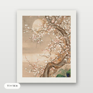 Japanese Blossom Sun Meditation
