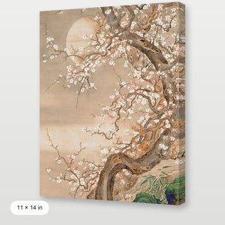 Japanese Blossom Sun Meditation