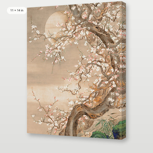 Japanese Blossom Sun Meditation, Gallery Wrap