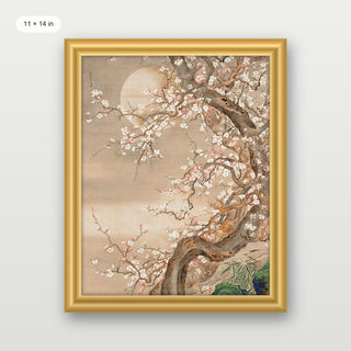 Japanese Blossom Sun Meditation
