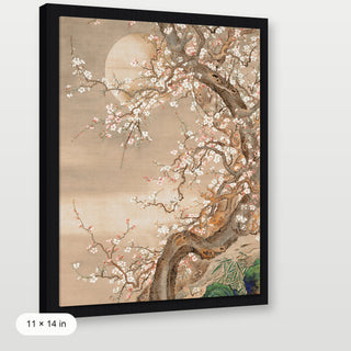 Japanese Blossom Sun Meditation