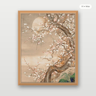 Japanese Blossom Sun Meditation