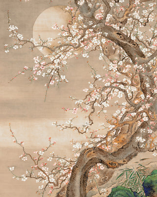 Japanese Blossom Sun Meditation
