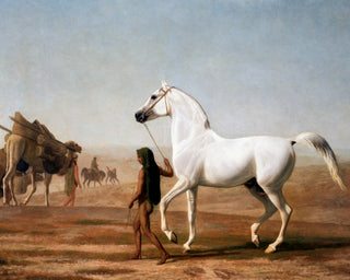 Southwest Horse