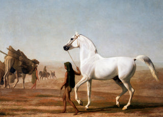 Southwest Horse