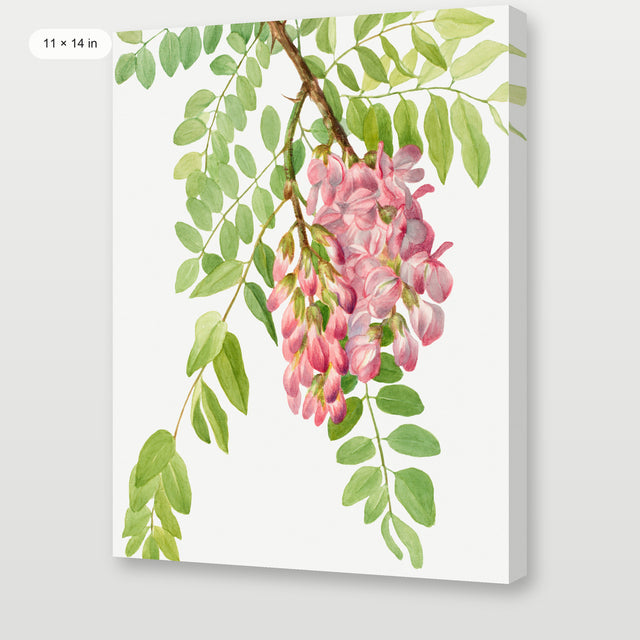 New Mexico Flower, Gallery Wrap