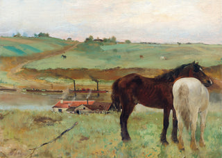 Western Horse