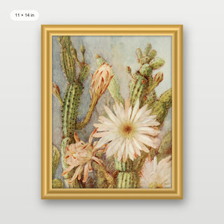 Cactus