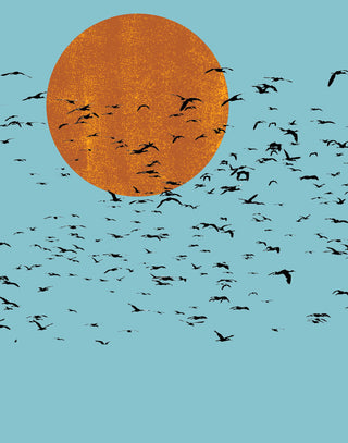 Rising Sun Flock