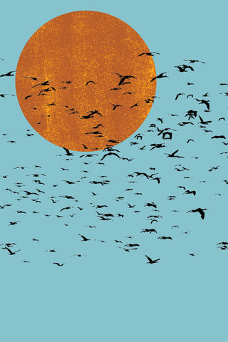 Rising Sun Flock