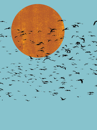 Rising Sun Flock