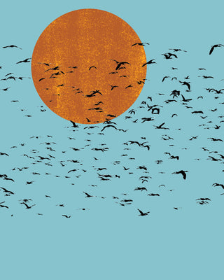 Rising Sun Flock
