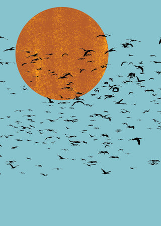 Rising Sun Flock