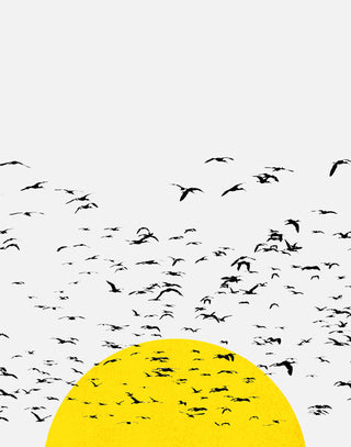 Setting Sun Flock