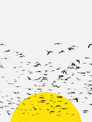 Setting Sun Flock