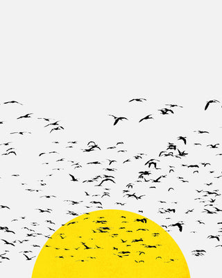 Setting Sun Flock