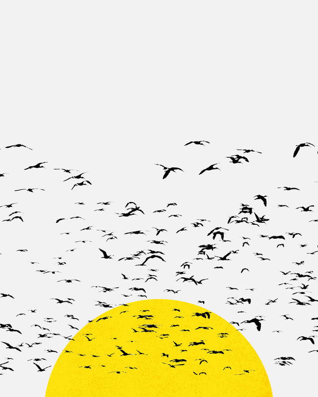 Setting Sun Flock, Full Bleed