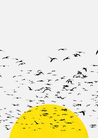 Setting Sun Flock