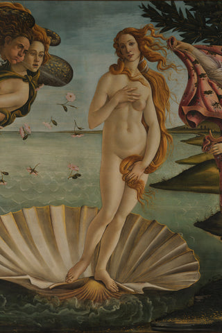 Botticelli - the Birth of Venus