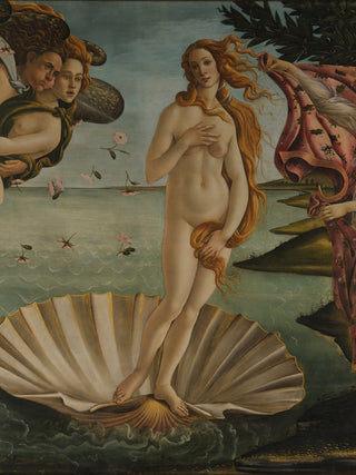 Botticelli - the Birth of Venus